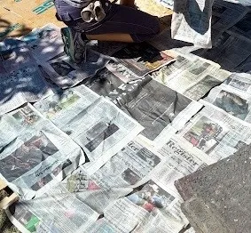 Wet newspaper atop the cardboard