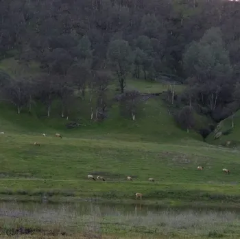 A beautiful view east of Clear Lake on Hwy 20.