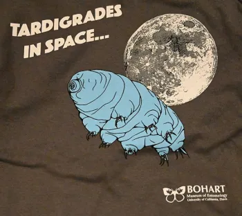 Scientists and associates at the Bohart Museum during UC Davis Picnic Day wore this newly designed Bohart Museum t-shirt