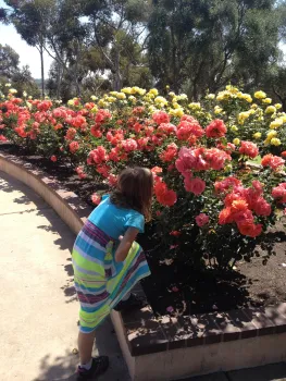 Girl kneeling down to smell a row of roses
