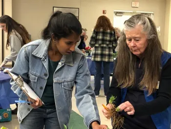 Two people examining parts of a plant.