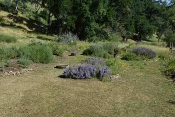 Pollinator gardens in small berms provide interest in otherwise non-landscaped area. John Whittlesey