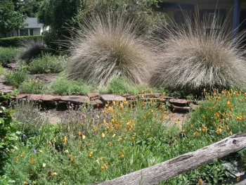 Berm with flat flagstone wall. Cindy Weiner