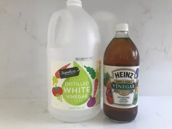 VinegarBottles
