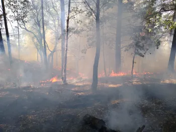 IMG_20230525_140409683