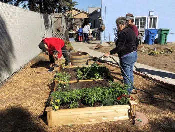 UC Master Gardener volunteers and participants watering plants at the Oceano Victory Garden.