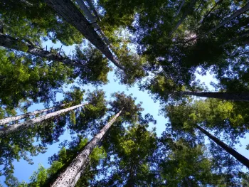 IMG_20230621_141133052_HDR