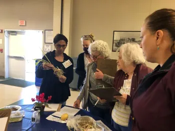 Four people standing around a table, one person is holding a plant and examining the roots.