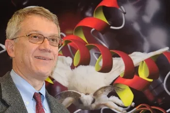 UC Davis distinguished professor Walter Leal is a newly elected trustee of the Royal Entomological Society. (Photo by Kathy Keatley Garvey)