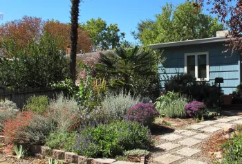 Blue house with a raised planter of trees, shrubs, and flowers.