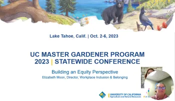 EMoon Video Screenshot