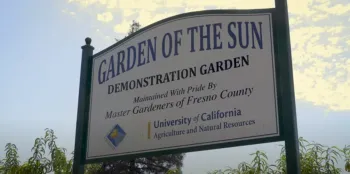 Screenshot 2023-10-20 114515