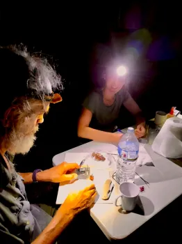 Working on soapberry research are Scott Carroll, research associate, UC Davis Department of Entomology and Nematology, and Professor Rachael Dudaniec of Macquarie University, Sydney, Australia.