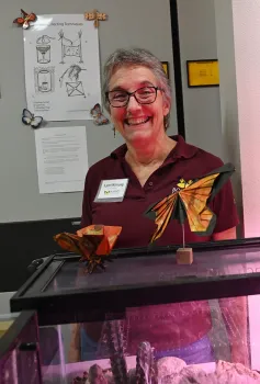 UC Davis distinguished professor Lynn Kimsey, director of the Bohart Museum of Entomology, with monarch origamis crafted by UC Davis alumnus Kevin Murakoshi. (Photo by Kathy Keatley Garvey)