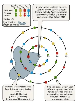 Figure 3. Schematic diagram of experimental design used to evaluate the effects of installation season, distance from observed activity, and bait system on bait interception time. Photo by Casey Hubble, UCCE.