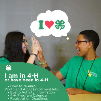 Returning to 4-H