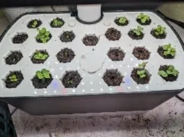 photos by Nanelle Jones-Sullivan