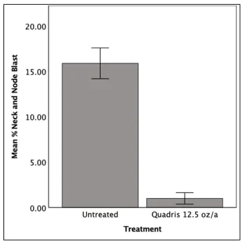 Screenshot 2023-11-20 at 1.41.40 PM