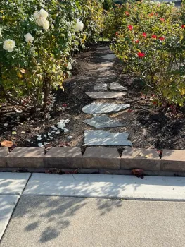 Creating a garden path allows access to maintain these roses.