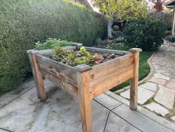 A raised bed makes garden maintenance accessible.