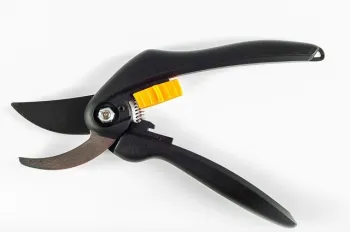 Invest in good-quality pruning shears and take good care of them for most successful pruning. (Photo: Pixabay)