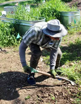 Mike Flanner demonstrates the tried-and-true method of removing tenacious weeds at a weed workshop. Michelle Graydon