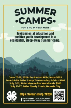2024 North Bay 4-H Camps (4 x 6 in)