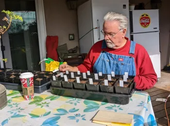 Man wearing overalls sitting at table planting seeds into containers filled with soil.