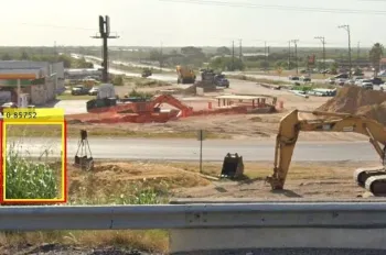 Puntos con el pasto Johnson identificados mediante el uso de Google Street View. Los recuadros amarillos fueron generados por la inteligencia artificial; los recuadros rojos fueron dibujados por un humano.