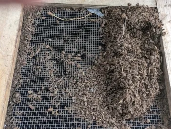 Sieving a mix, Tim Long.