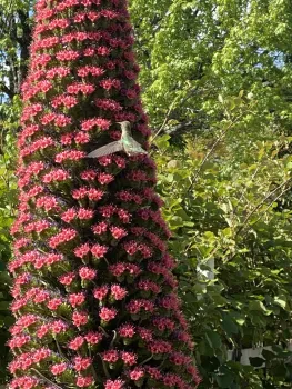 Bed #5 Tower of Jewels 2