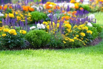 May – A mix of short and tall bedding plants
