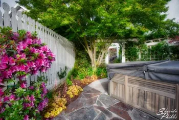 Feature 3 - North Area for Shade Plants