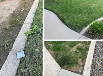 Figure 4. Examples of lawn-concrete interface in residential settings. The picture on the left shows one of the lawn-concrete sites tested in the experiment. Photos by Dong-Hwan Choe.