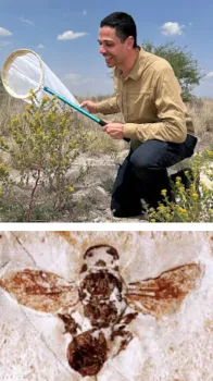 Eduardo Almedia, an associate professor at the University of São Paulo, Brazil, will speak on “The Evolutionary History of Bees in Time and Space