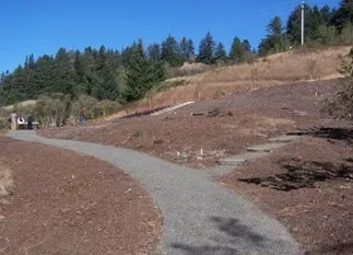 Brown landscape with trees in the background