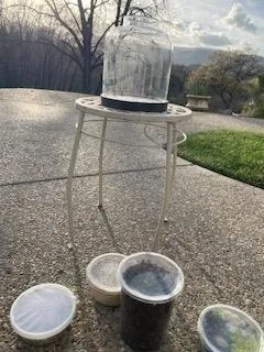 photos by Jennifer DeDora