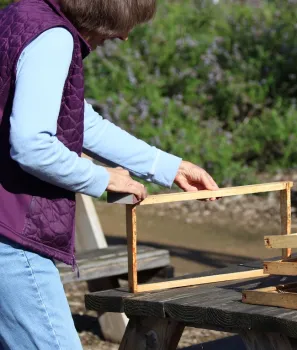 Diane builds bee display