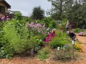 Mission Farm vegetable beds. Photo by Lisa Putnam.