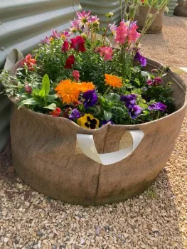 Plant flowers in the garden or near the garden to attract pollinators. Here a large pot of flowering plants is adjacent to the garden bed. (Photo: Ann Edahl)