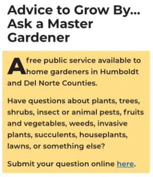 Help Desk information