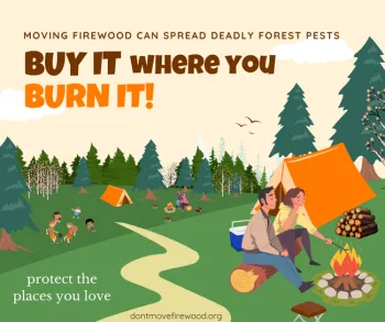 Buy it where you burn it!