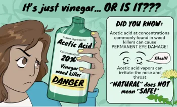 A person looking at a bottle of 20% acetic acid vinegar weed killer with a signal word DANGER.
