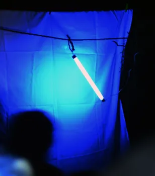 Blacklighting includes a white sheet and UV light. Moths and other night-flying insects are drawn to the light. (Photo by Kathy Keatley Garvey)