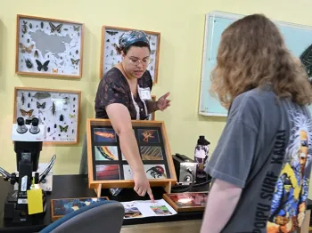 UC Davis doctoral candidate Iris Quayle points to images of butterflies and moths. (Photo by Kathy Keatley Garvey)