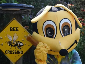 Pamela King, co-chair of the Vacaville Museum's Children's Party, wearing a bee costume from the UC Davis-based California Master Beekeeper Program, holds honey sticks from Z Specialty Food, Woodland, that will be given to the attendees. (Photo by Kathy Keatley Garvey)