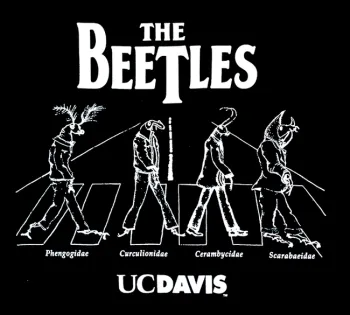 Close-up of The Beetles t-shirt, one of the t-shirts that the late Jeremy Nichol McNeil treasured. It is all-time favorite created and sold by the UC Davis Entomology Graduate Student Association.