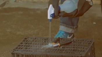 Figure 3. Tools and equipment used for harvest and post-harvest handling should be cleaned and sanitized. Photo by Ethan Ireland.