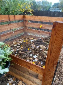 01 - Jan 2025 Composting [Tece Markel], IMG_0582