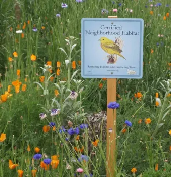 Neighborhood Habitat Certification is the topic of the first Master Gardener workshop this Fall. Altacal Audubon Society